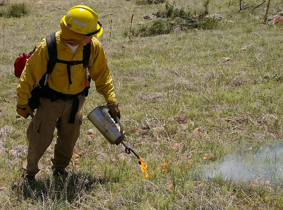 Drip Torch — reference photo