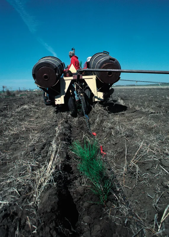 Mechanical Tree Planter — reference photo