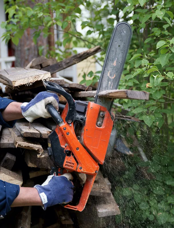 Chainsaw — reference photo
